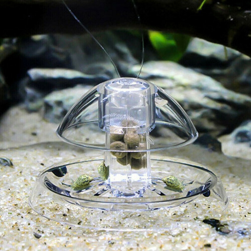 Aquarium Snail Trap Plastic Device