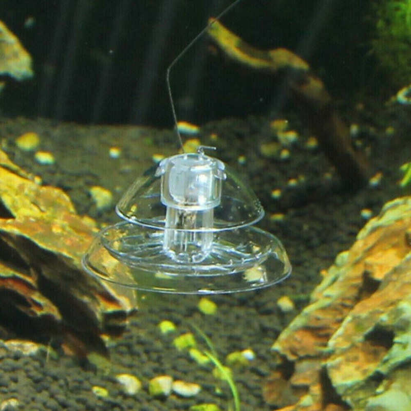 Aquarium Snail Trap Plastic Device