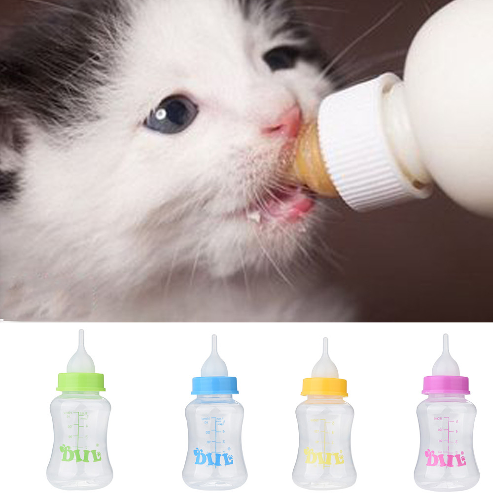 Kitten Bottle Milk Feeding Bottle