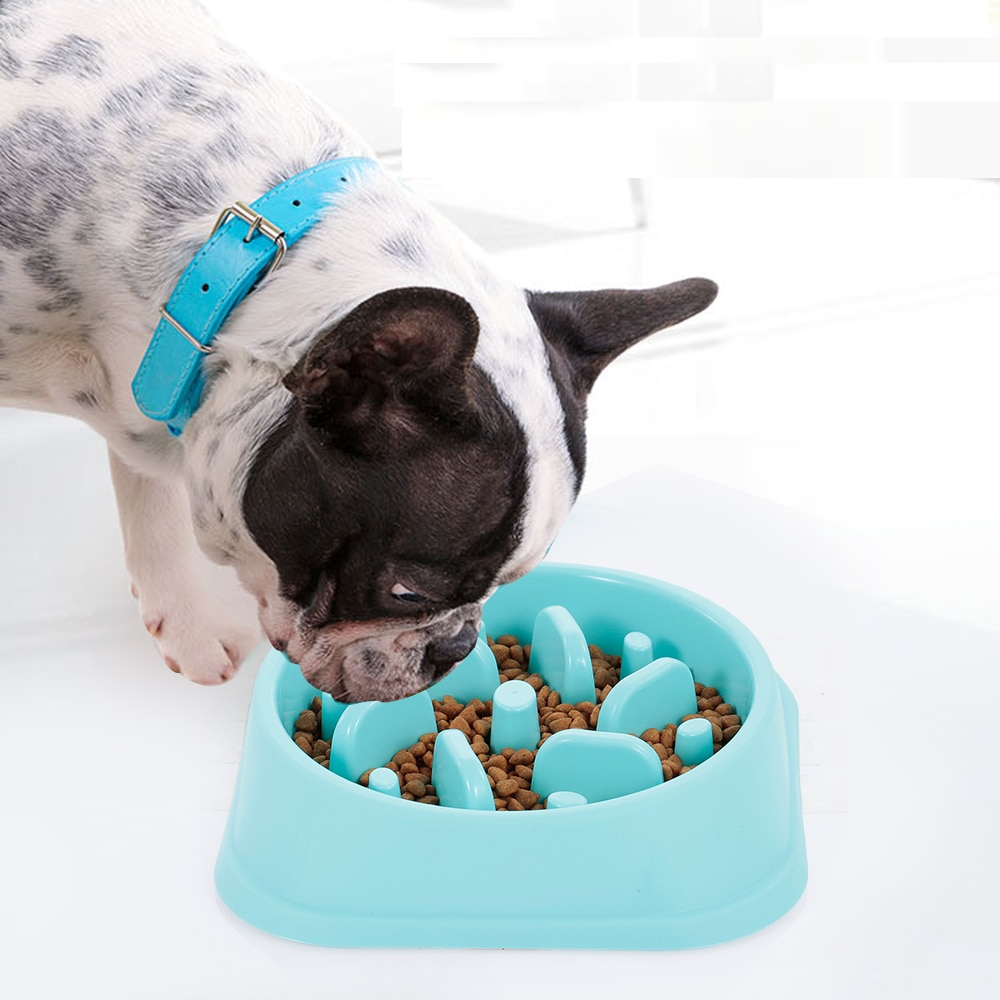 Slow Eating Dog Bowl Choking Prevention
