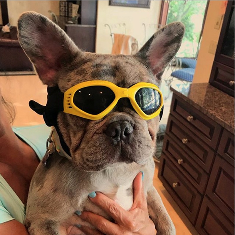 Dog Goggles Anti-UV Pet Accessories