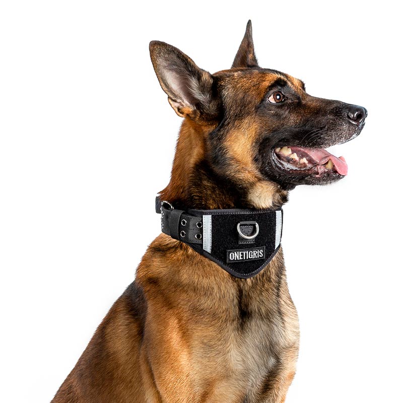 Tactical Dog Collar With Patch Space