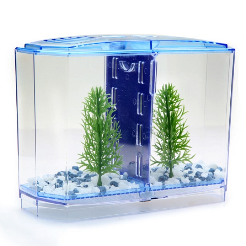 Fighting Fish Tank Pet Accessory