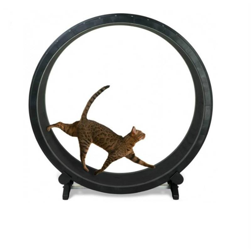 Cat Treadmill Pet Accessory