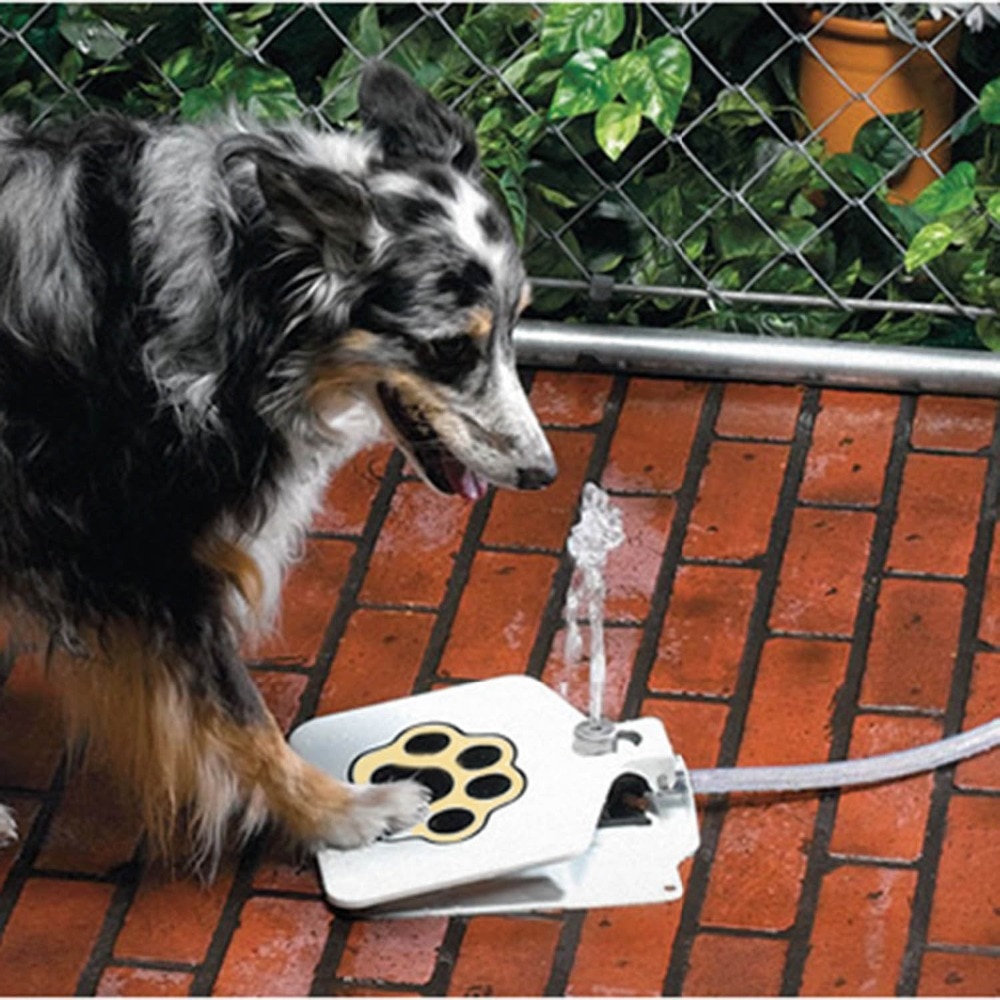 Pet Drinking Fountain Step-On Device