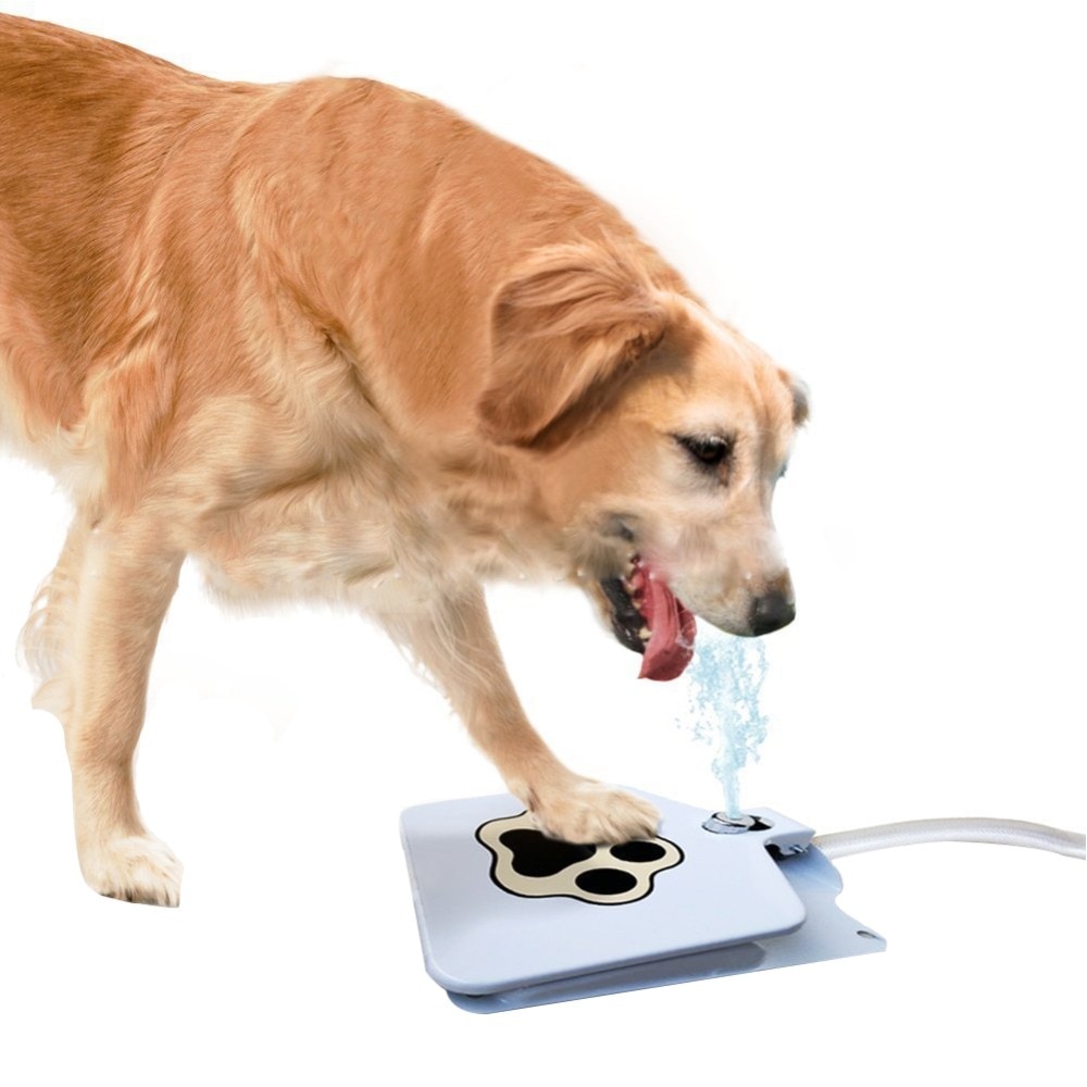 Pet Drinking Fountain Step-On Device