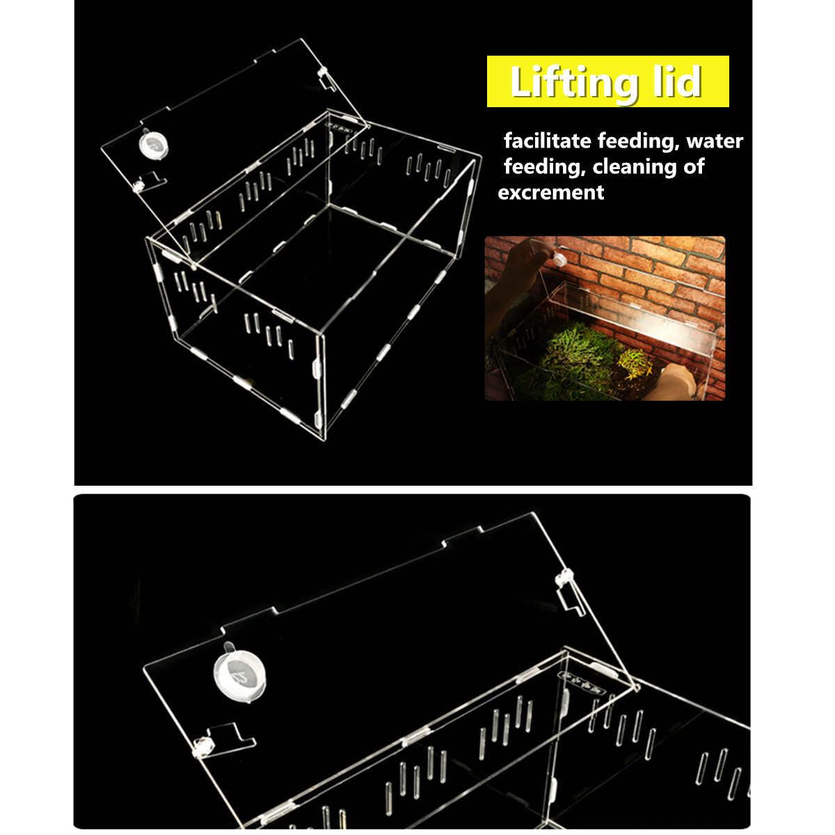 Reptile Tank with Temperature Display