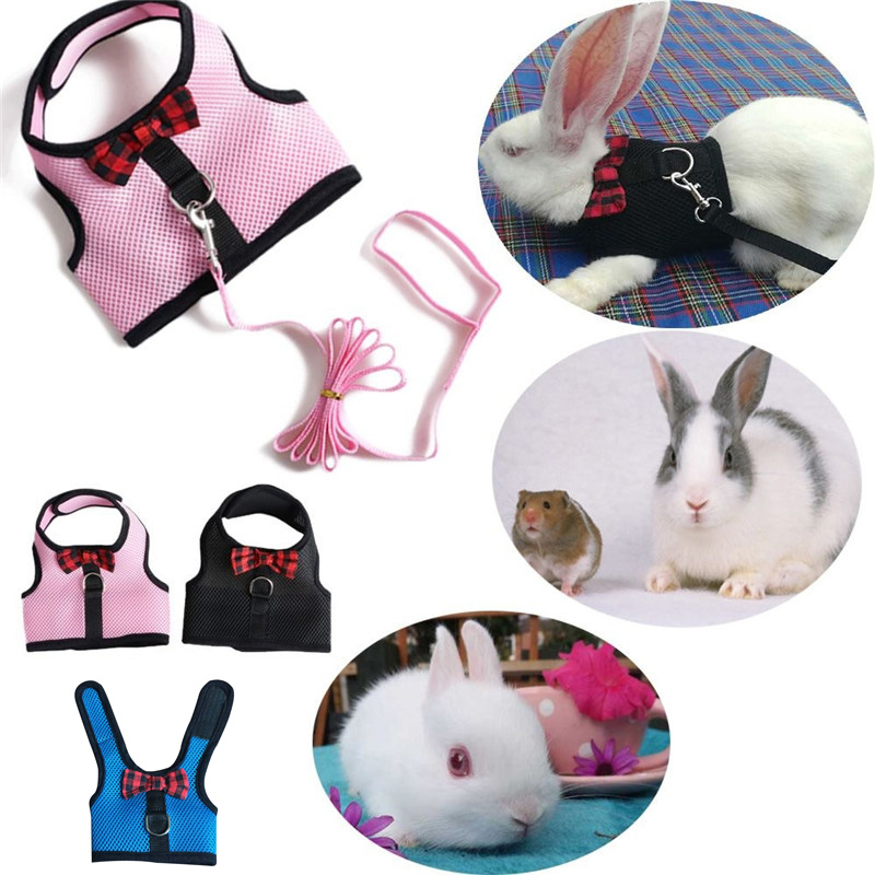 Rabbit Harness Pet Leash