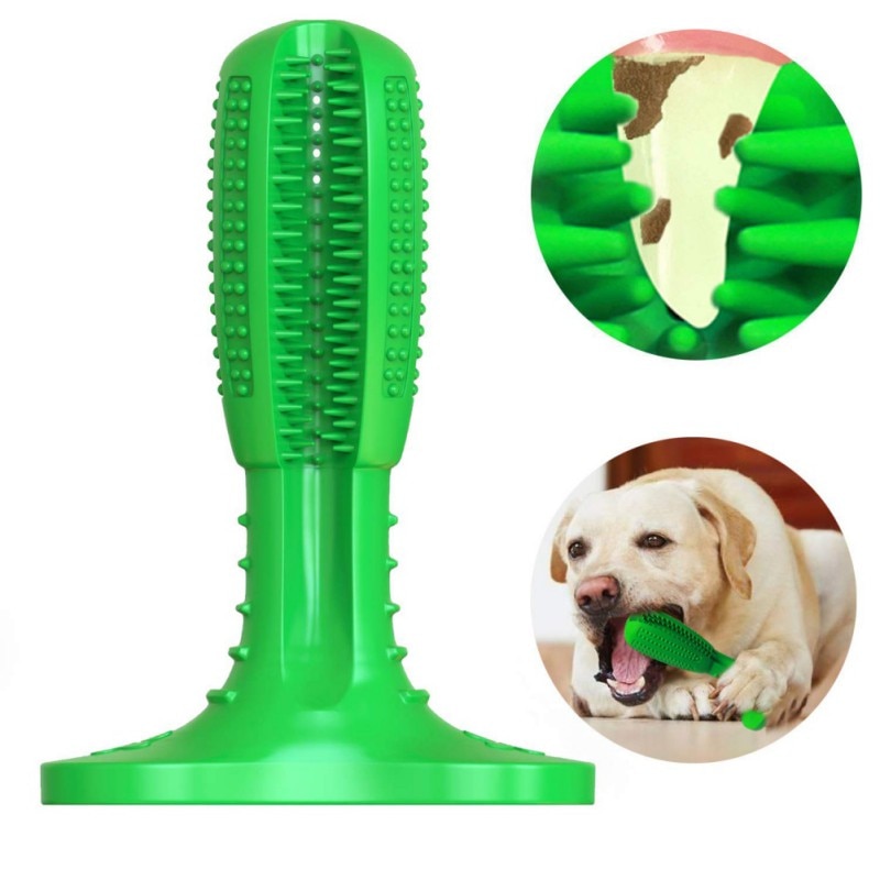 Dog Toothbrush Chew Toy