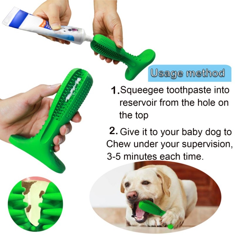 Dog Toothbrush Chew Toy