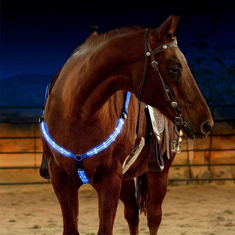 Horse Harness with LED Light