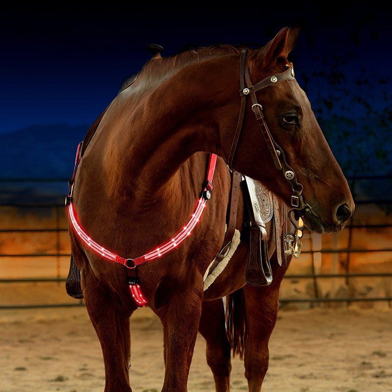 Horse Harness with LED Light