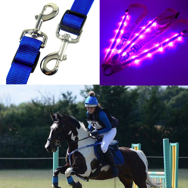 Horse Harness with LED Light