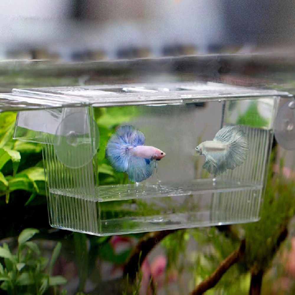 Fish Breeding Box Aquarium Accessory