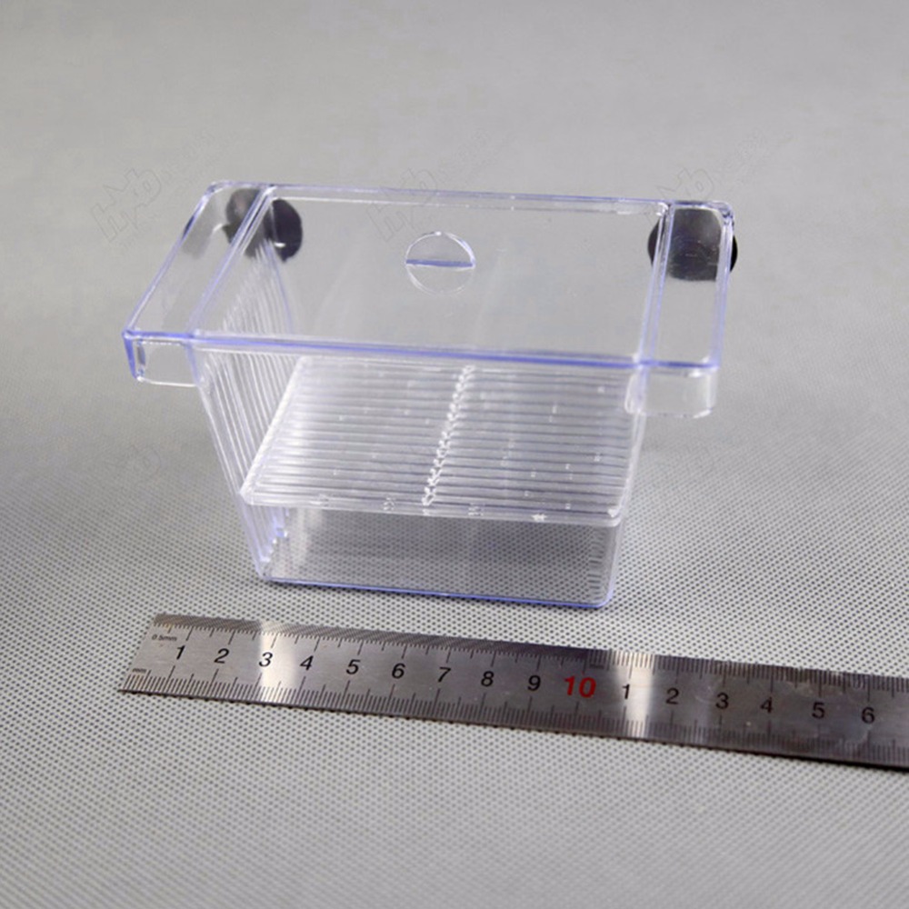 Fish Breeding Box Aquarium Accessory