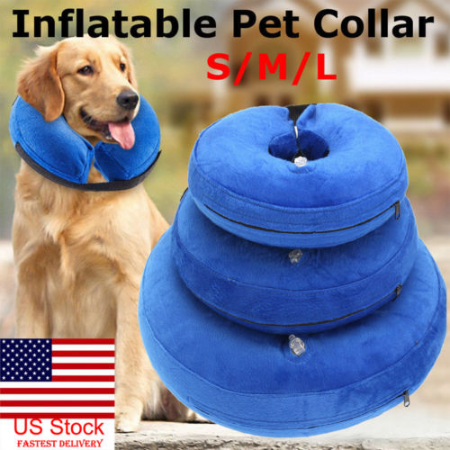 Inflatable Dog Collar Pet Supplies