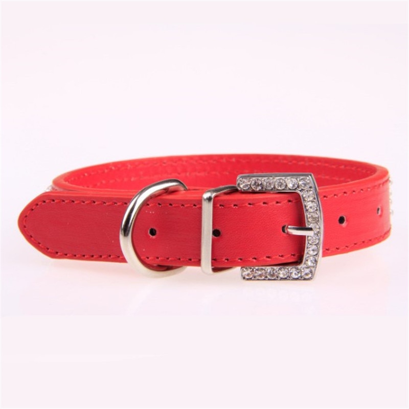 Pet Collars Neckband Accessory