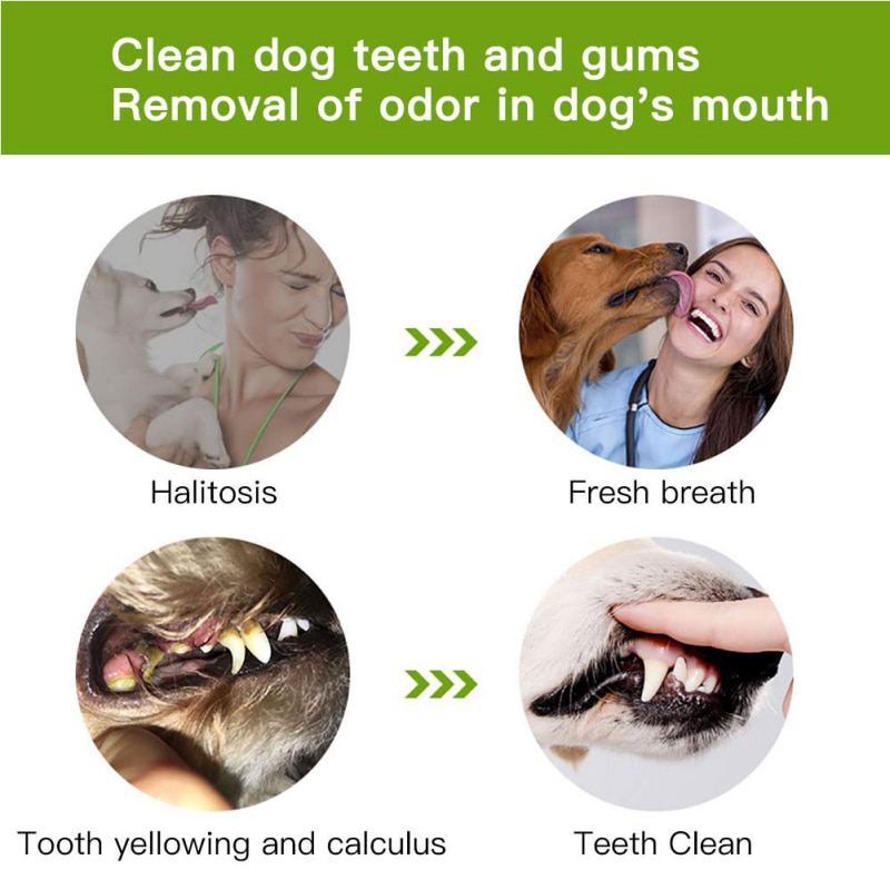 Puppy Teething Toys Dental Stick