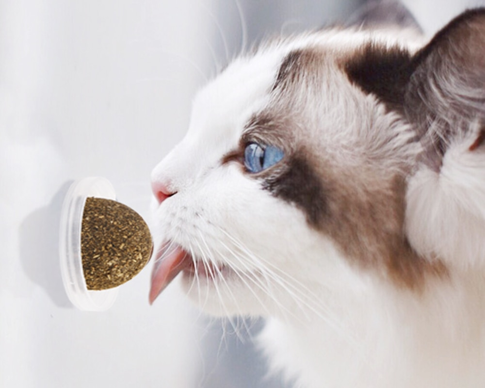 Cat Treat Healthy Catnip Balls
