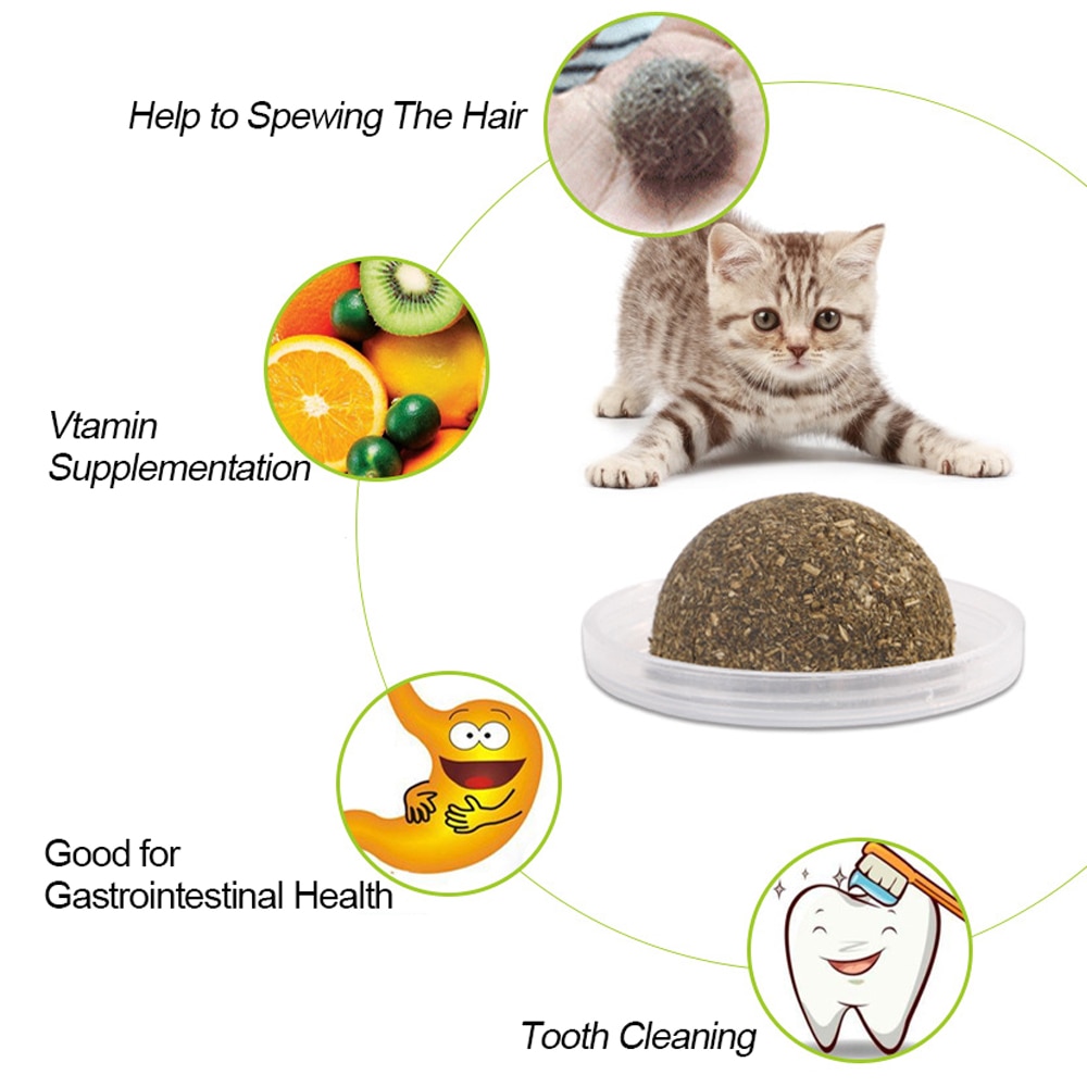 Cat Treat Healthy Catnip Balls