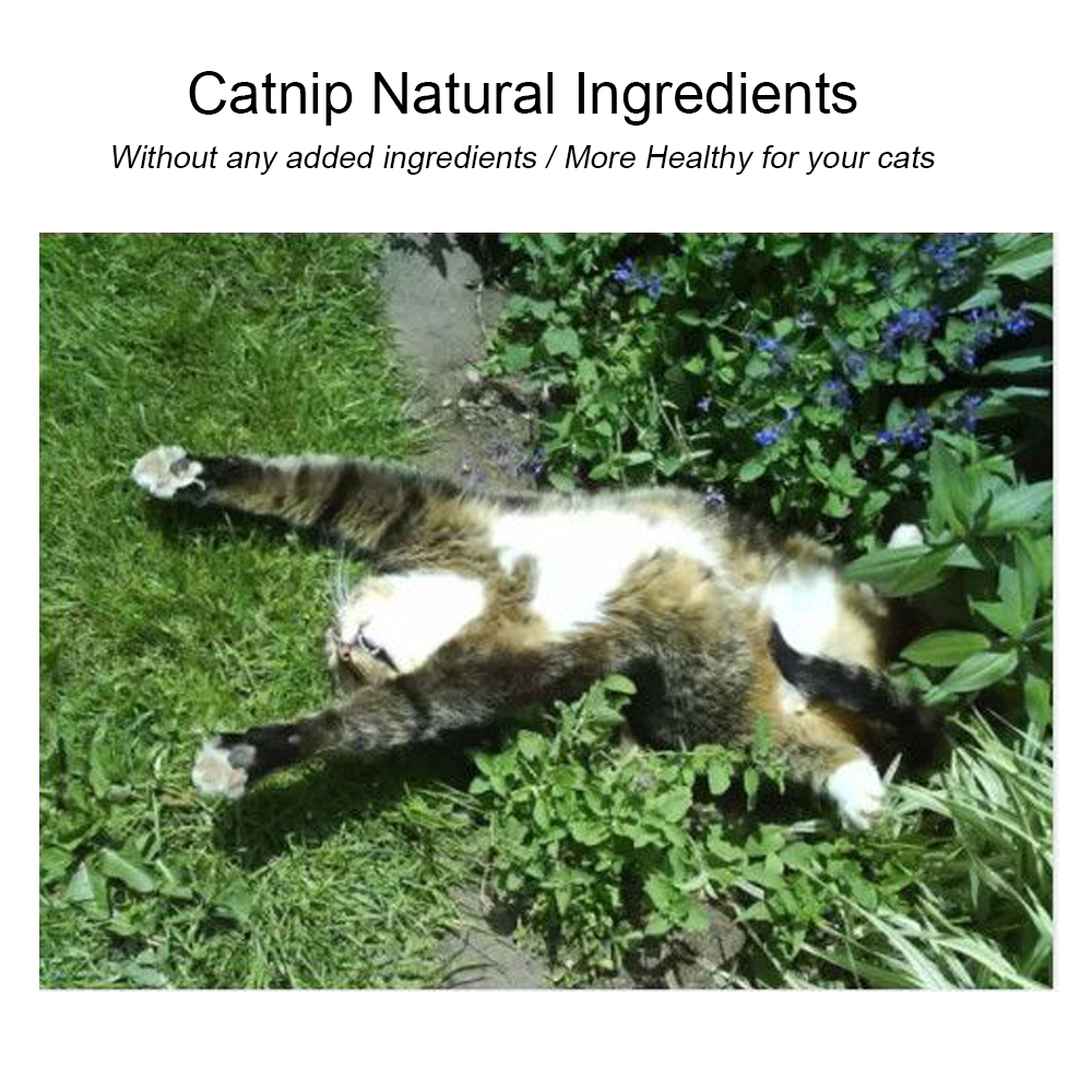 Cat Treat Healthy Catnip Balls