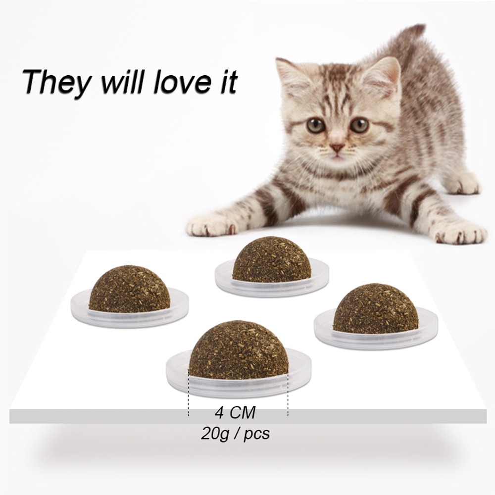 Cat Treat Healthy Catnip Balls