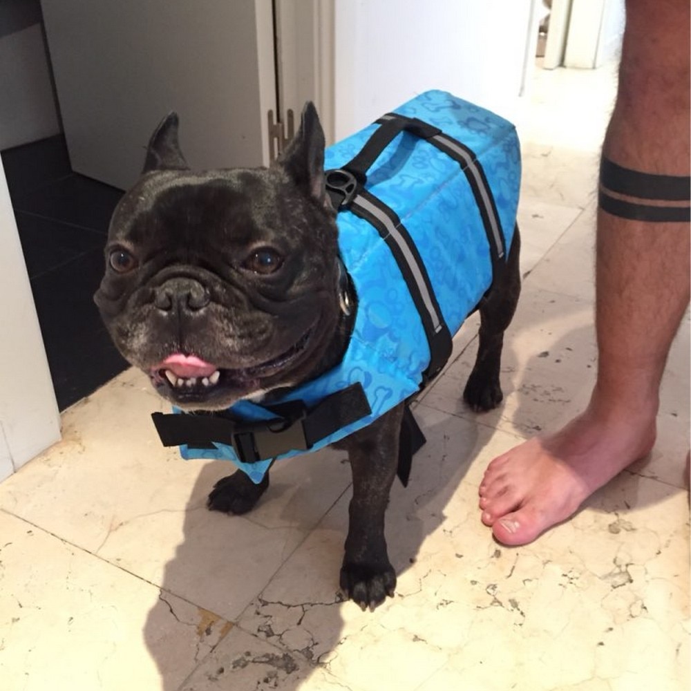 Pet Dog Life Jacket Saver