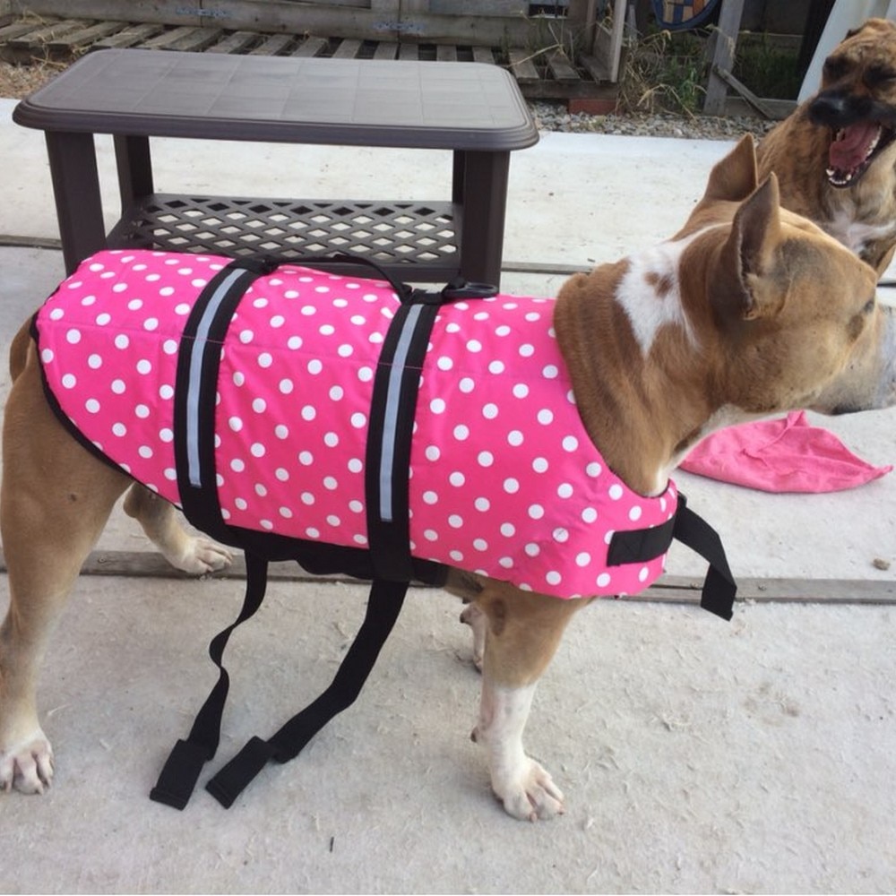 Pet Dog Life Jacket Saver