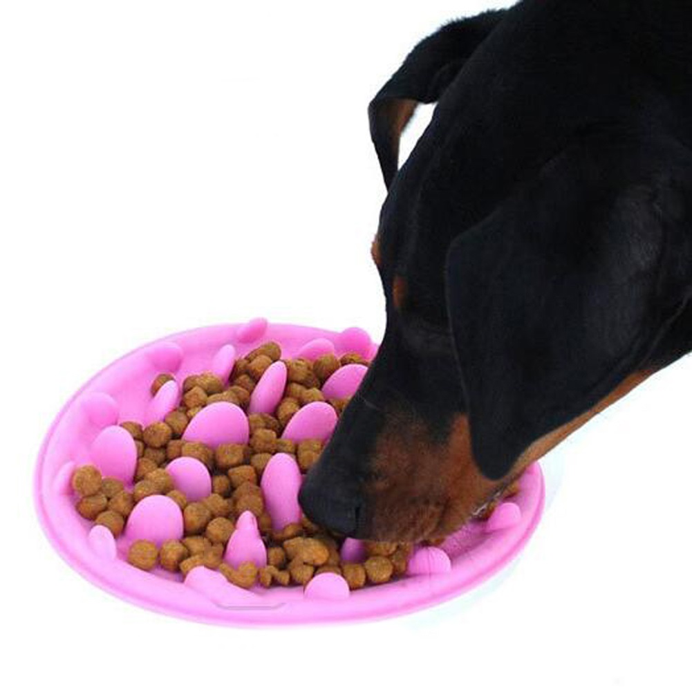 Pet Silicone Bowl Slow Feeder