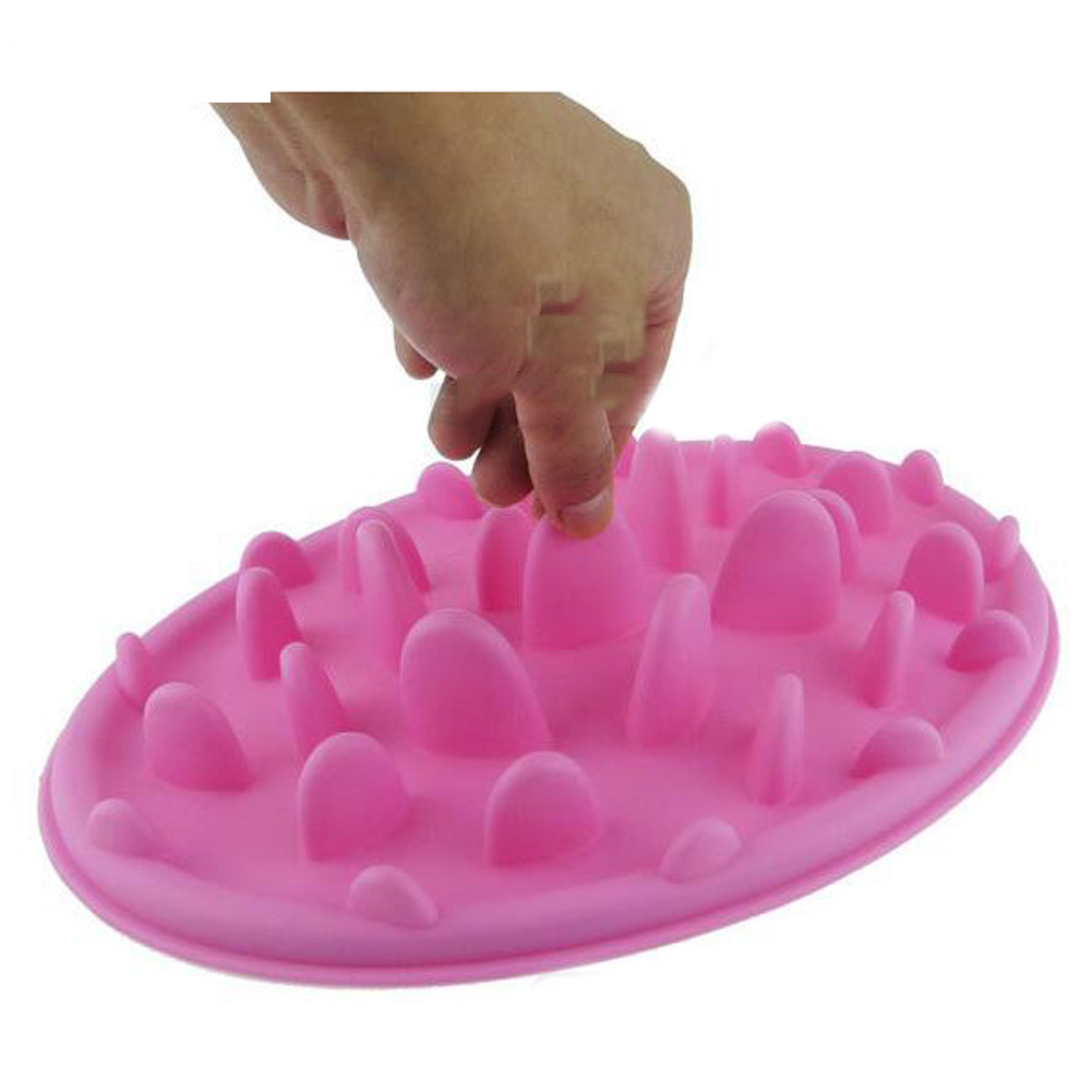 Pet Silicone Bowl Slow Feeder