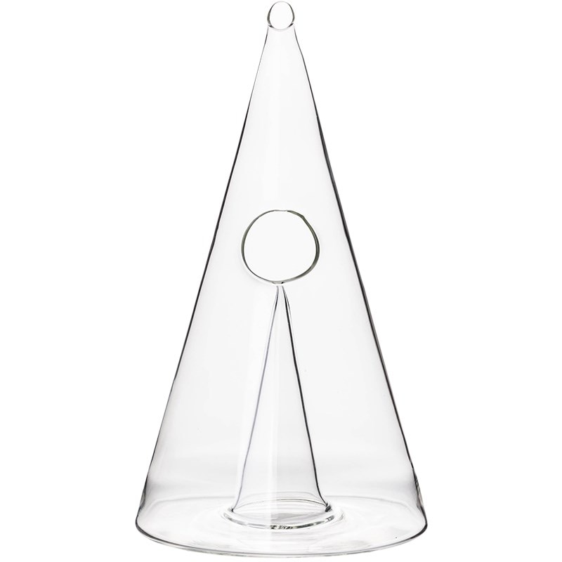 Wine Decanter Elegant Glass Pourer