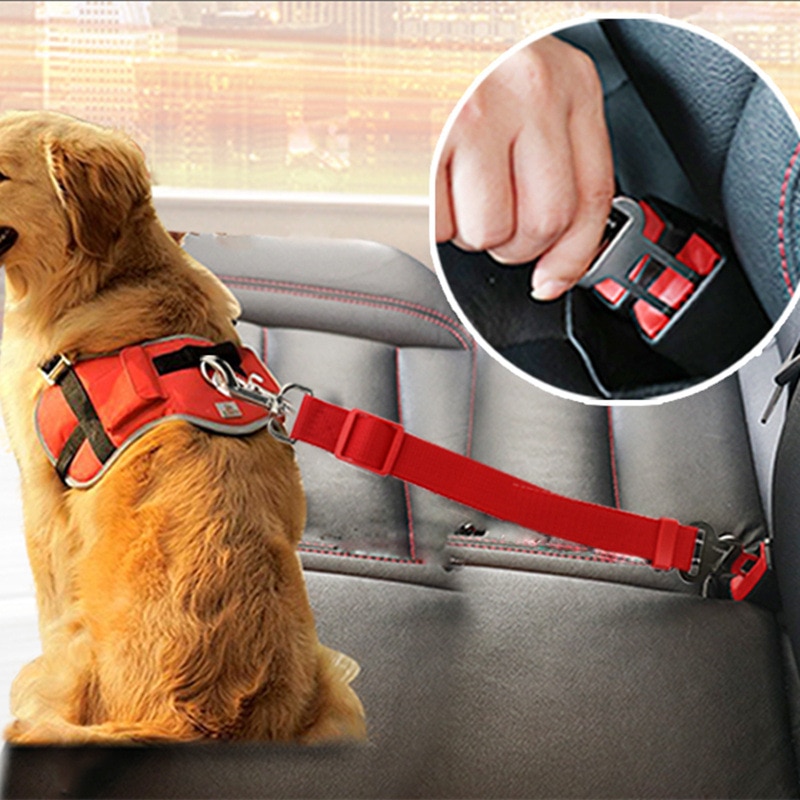 Pet Seat Belt Adjustable Leash 