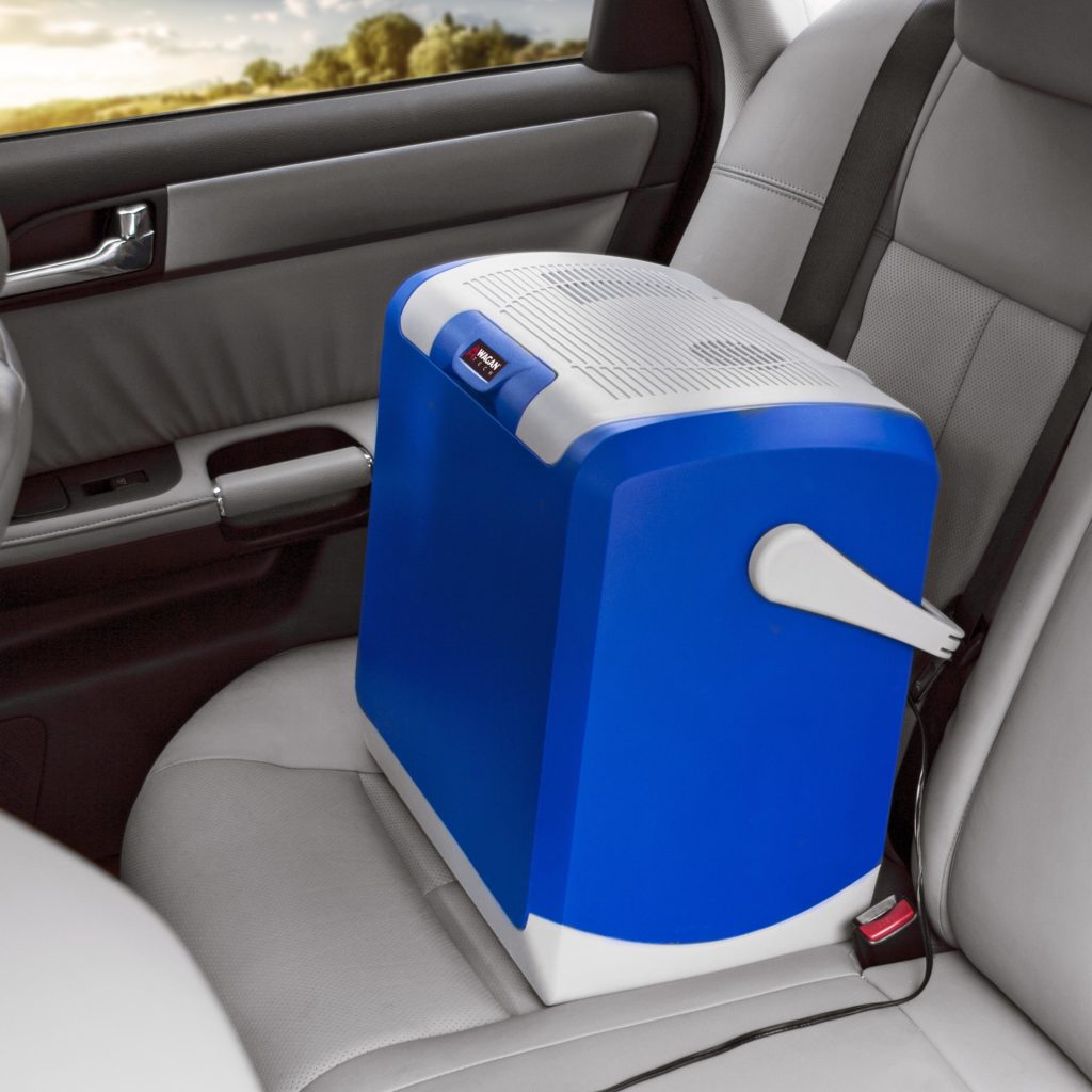 Mini Car Fridge/Warmer 12V 24L Capacity