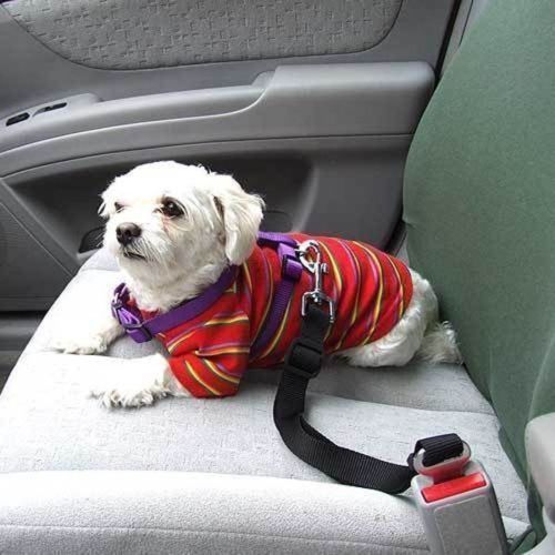 Pet Dog Seat Belt Safety Harness