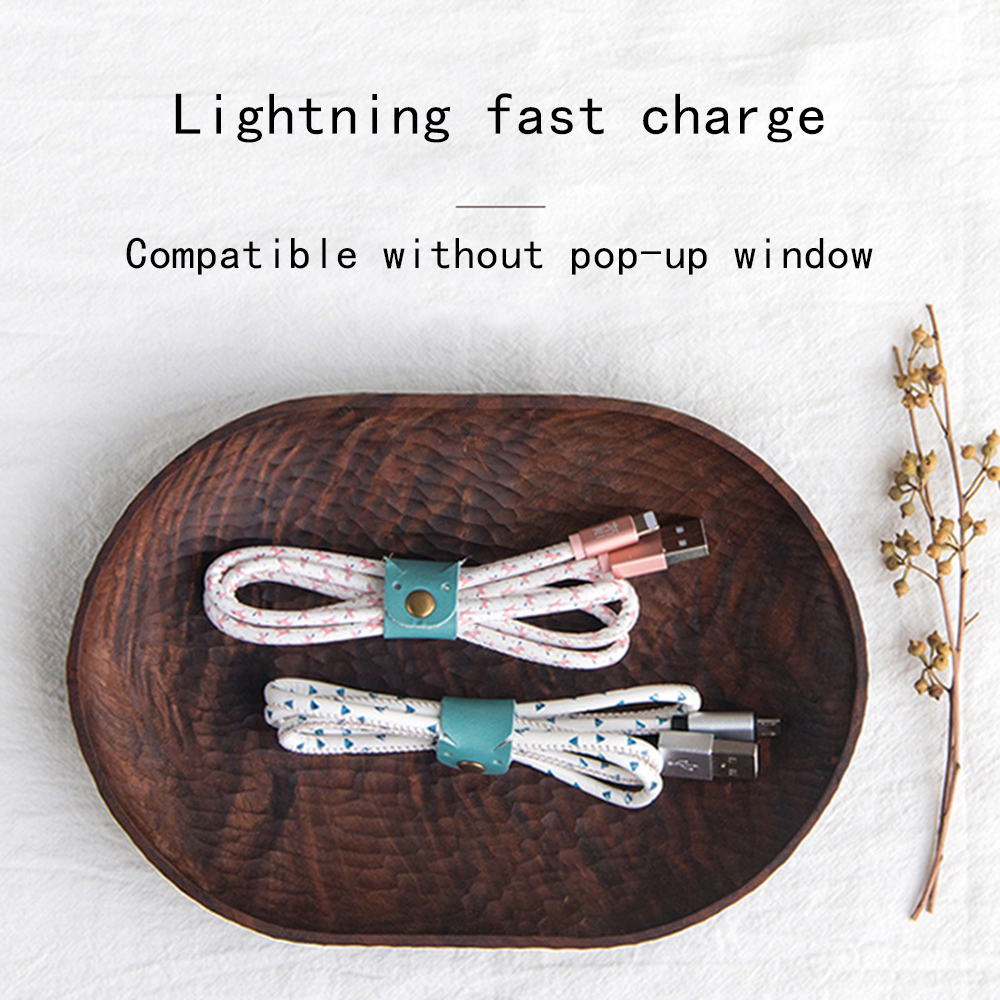 Fast Charging Cable Micro USB and iPhone