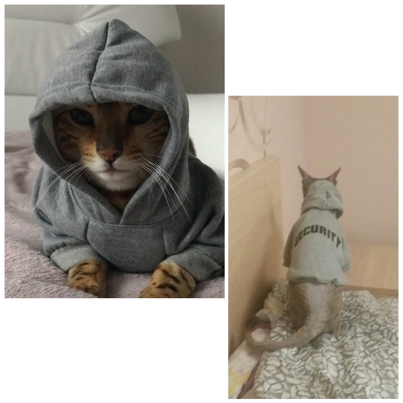 Cat Jacket Stylish Hoodie