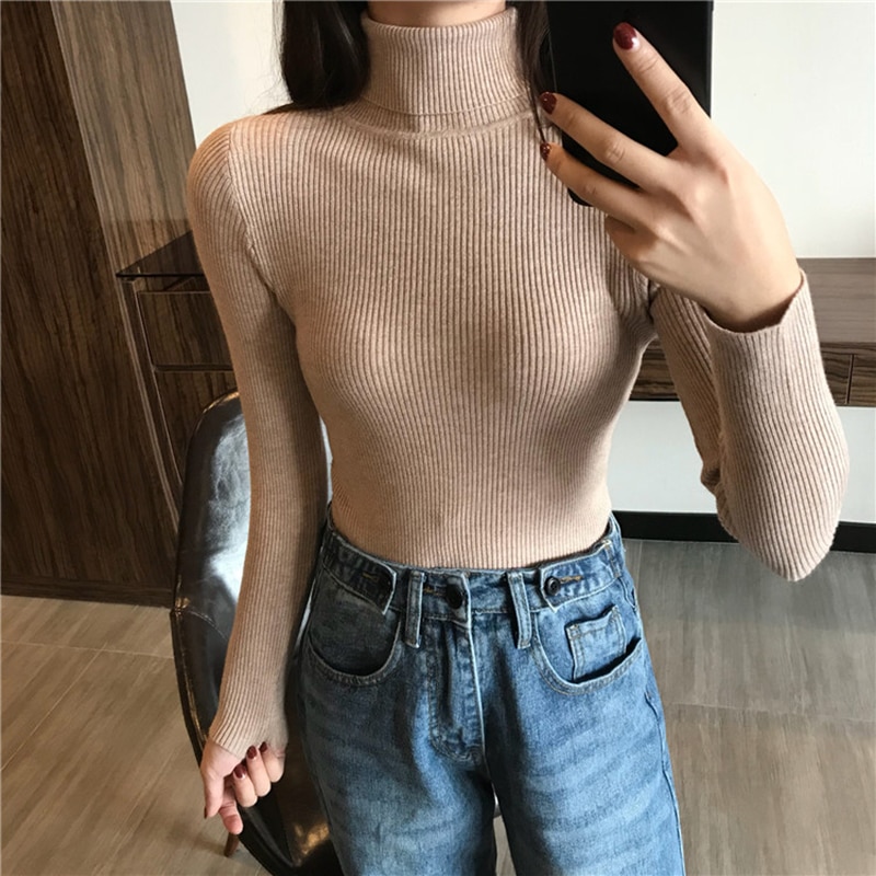 Turtleneck Women Slim Warm Sweater