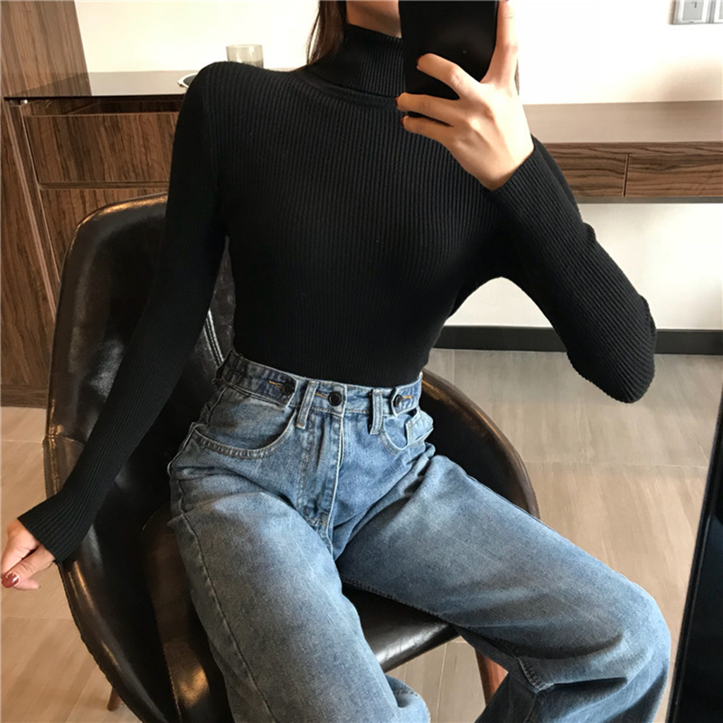 Turtleneck Women Slim Warm Sweater