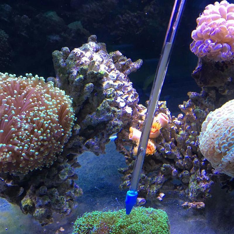 Long Acrylic Coral Feeder Tube