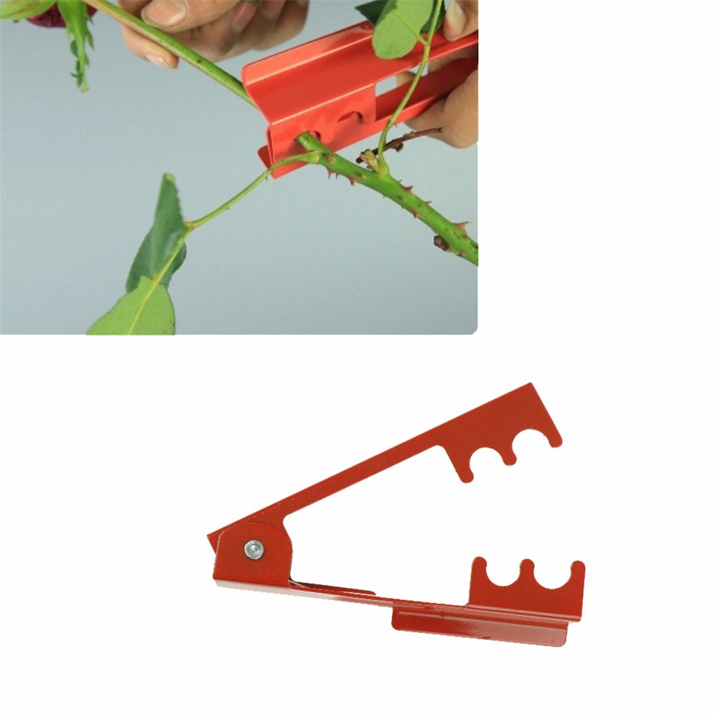 Rose Thorn Stripper Garden Tool