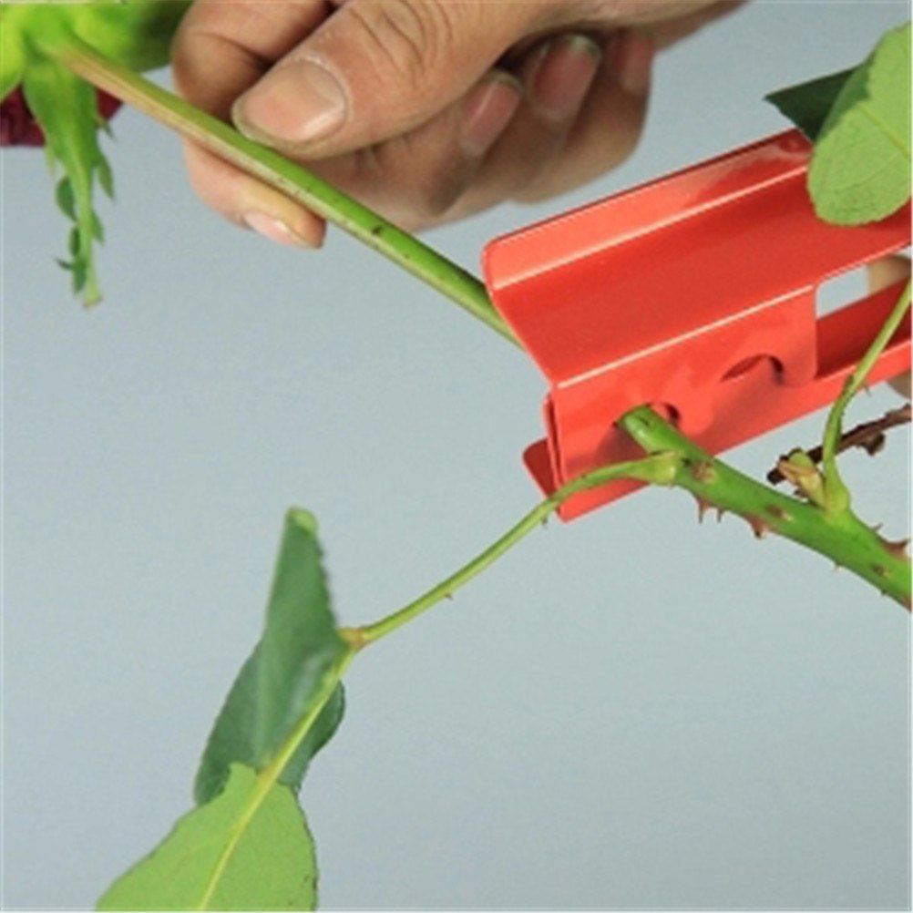 Rose Thorn Stripper Garden Tool