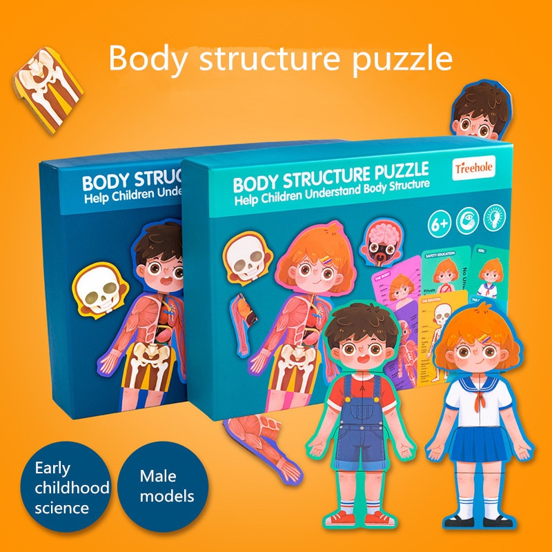 Anatomy Puzzle Educational Puzzle