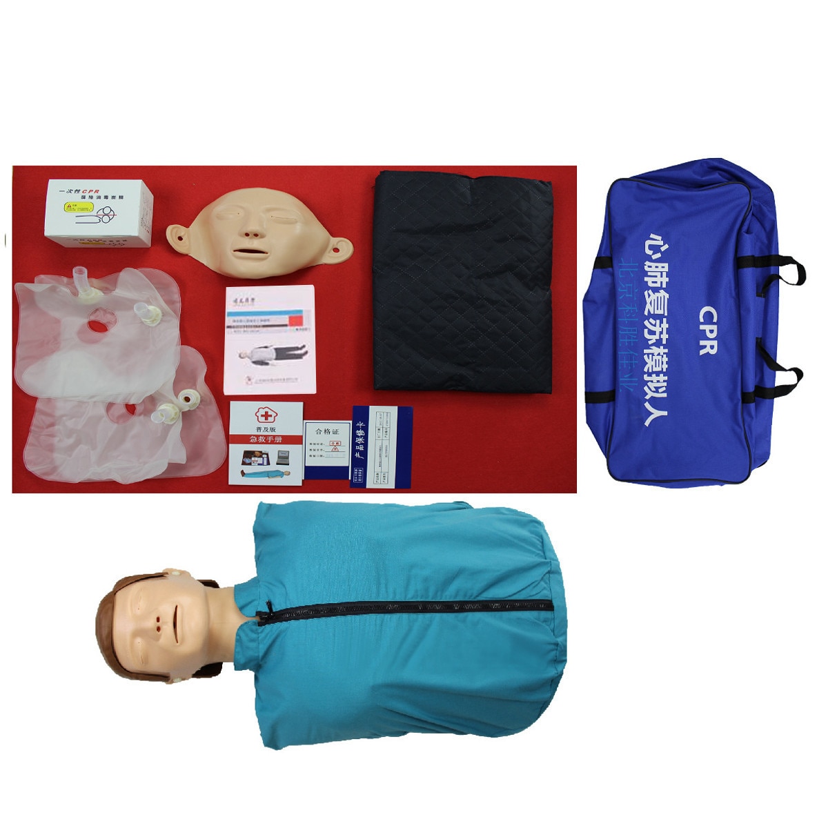 CPR Manikin Medical Training Model