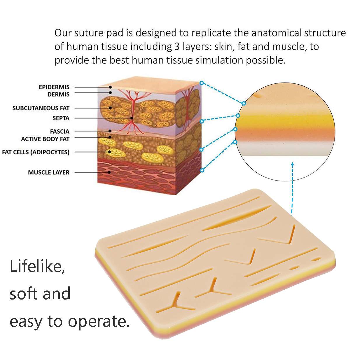 Suture Practice Kit