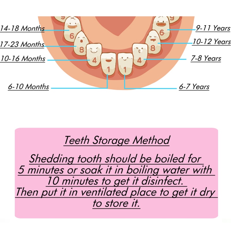 Tooth Fairy Box Milk Teeth Storage