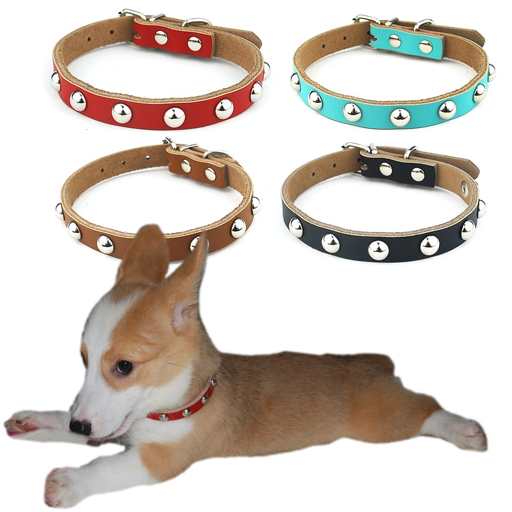 Bling Dog Collar With Rhinestones