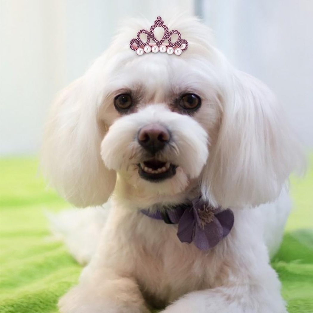 Clip-On Faux Pearl Dog Tiaras (5pcs)