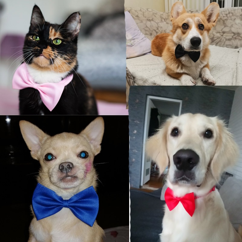 Dog Bowtie Pet Accessory