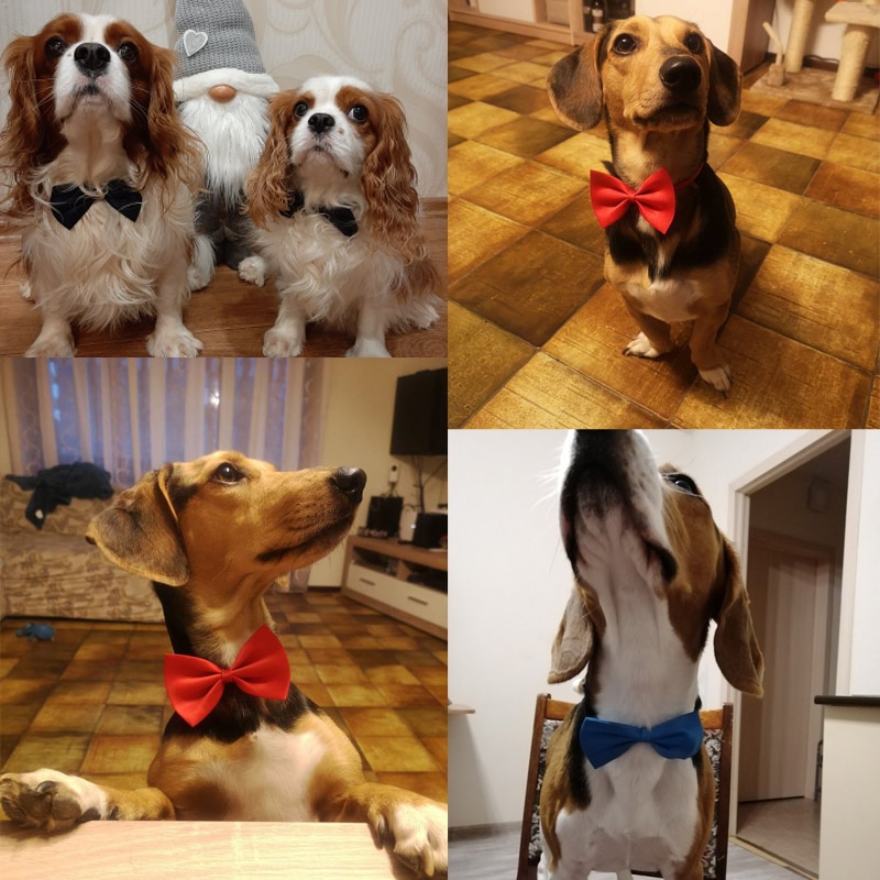 Dog Bowtie Pet Accessory