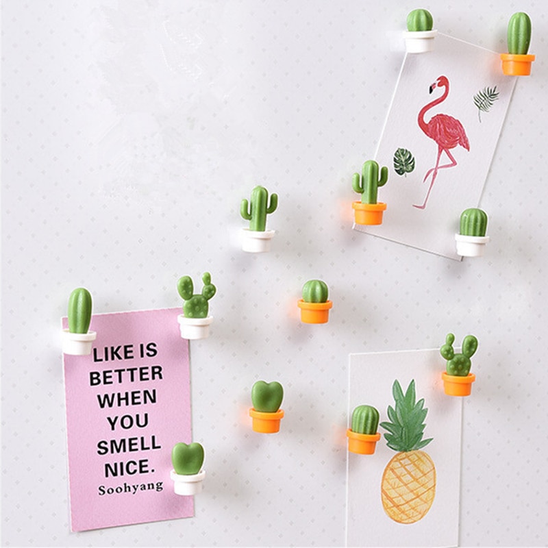 Succulent Magnets Fridge Decors (6 Pcs)